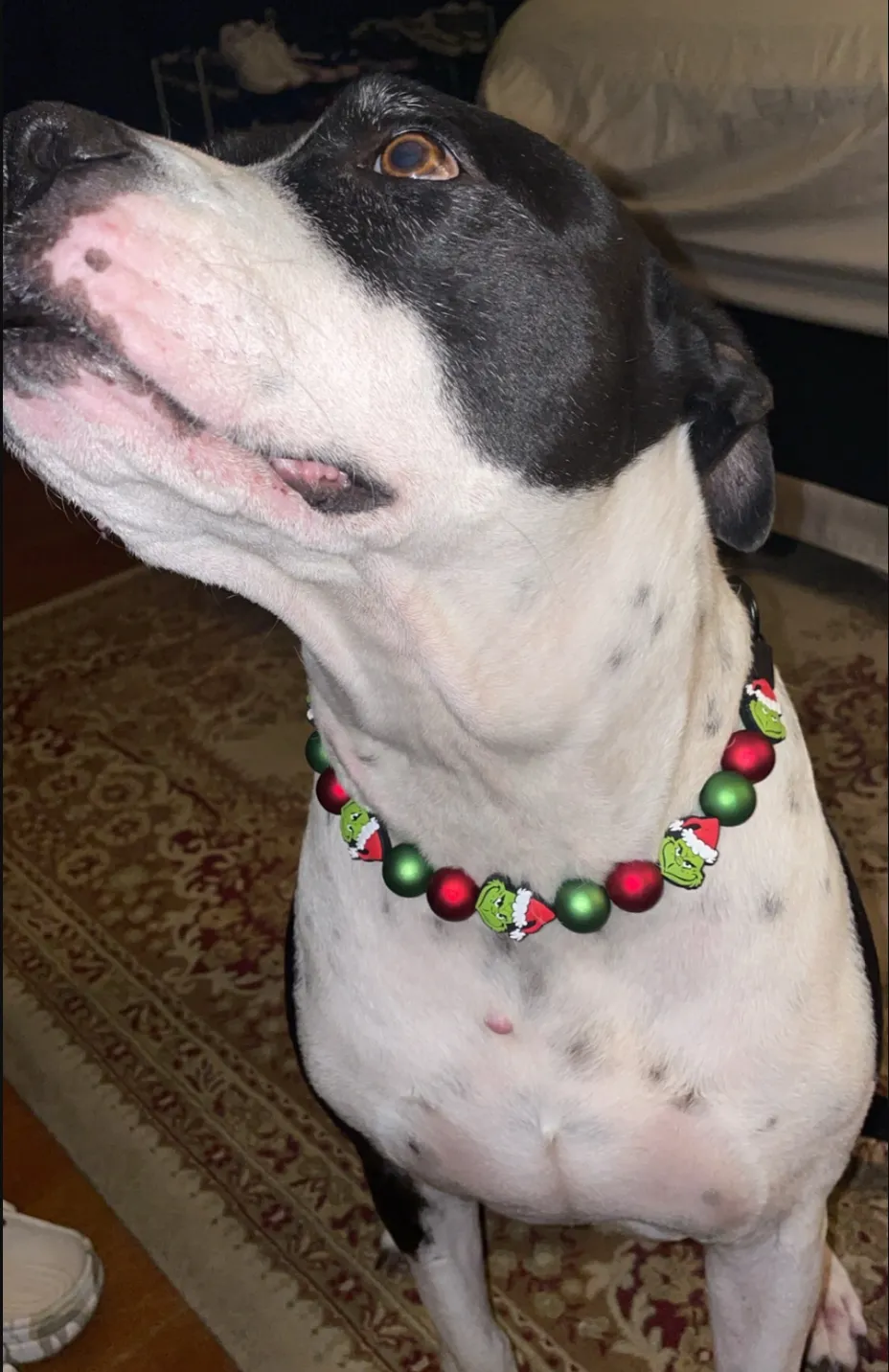 🟧 18" Slip On (Black O-Ring) Grinchmas 🎄 Bead Collar - PRE-MADE/FINAL SALE