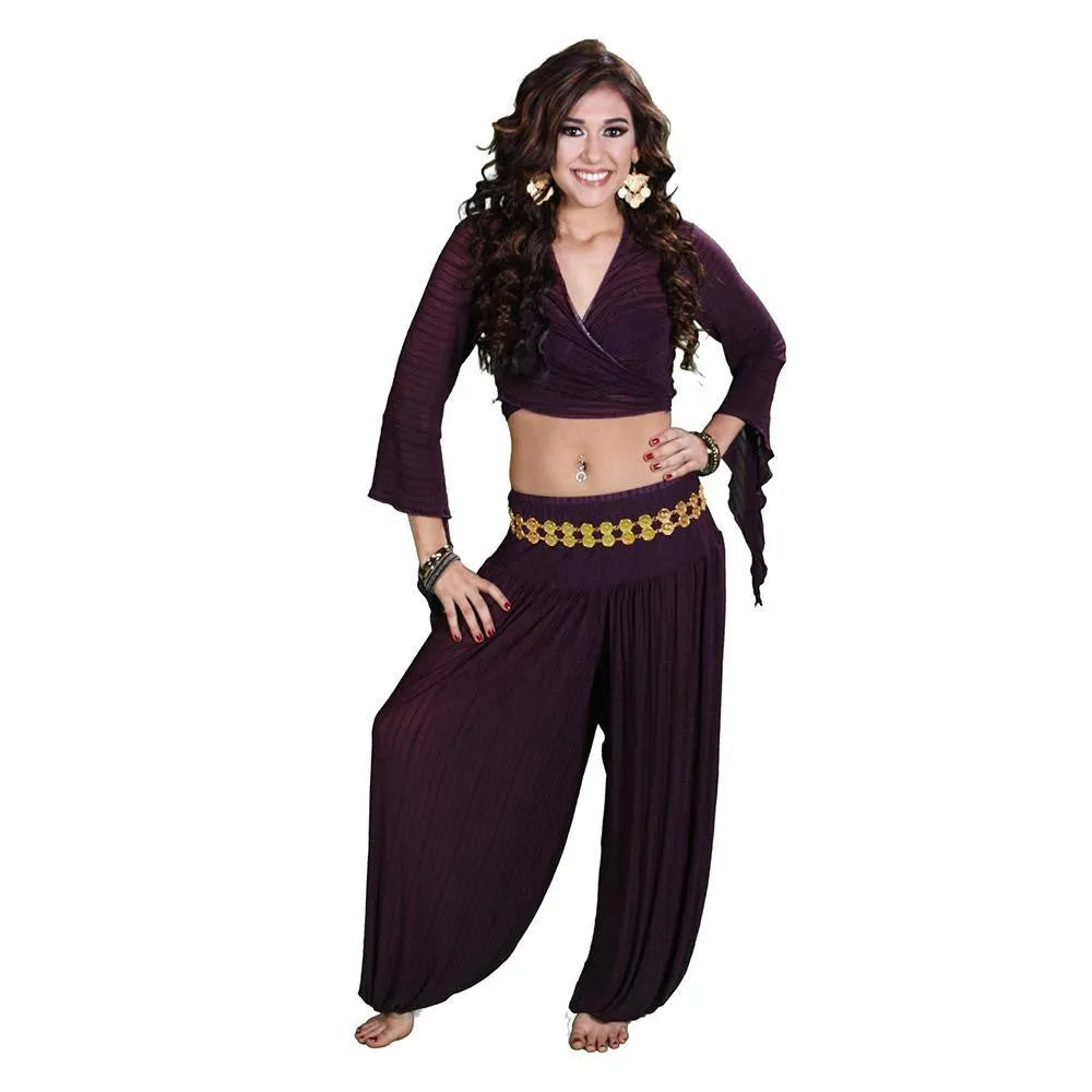 Belly Dance Harem Pants & Choli Top Costume Set | SHEER HAREM