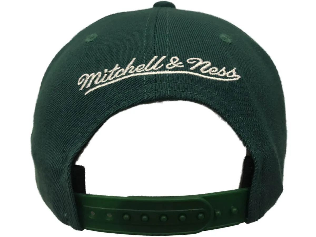 Boston Celtics Mitchell & Ness Green w\\ Silver Primary Reflect Flat Bill Hat Cap