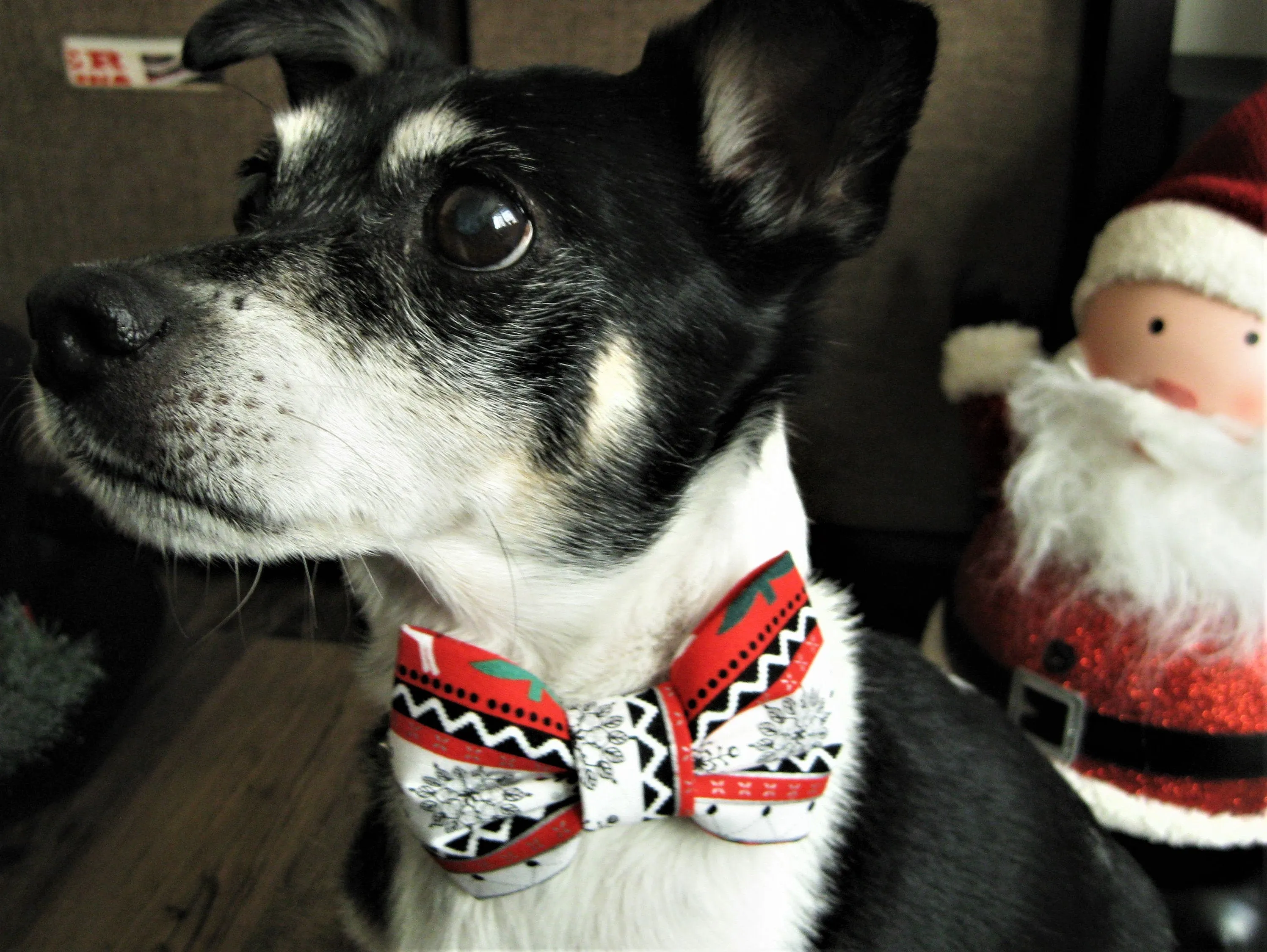 Bowtie Collar | Fair Isle