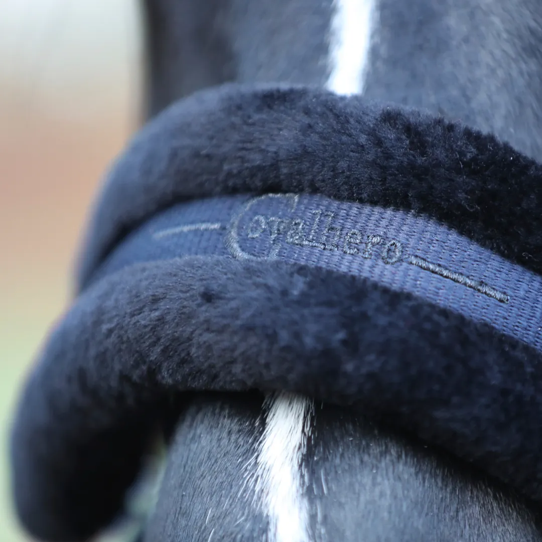 Covalliero Head Collar