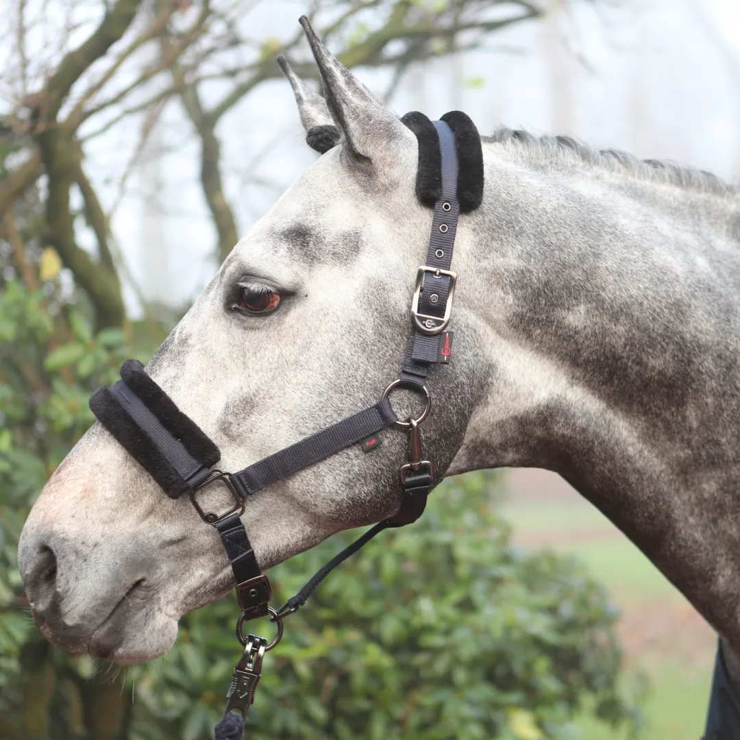 Covalliero Head Collar