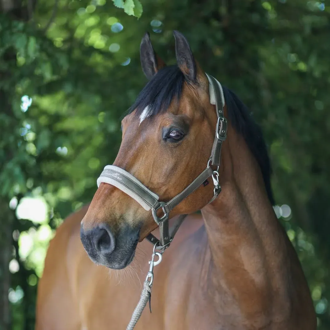 Covalliero Head Collar