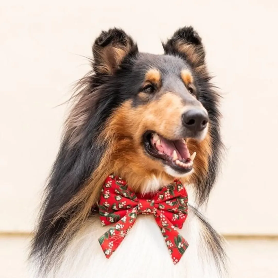 Dog and Cat Lady Bowtie: Rifle Paper Co. x TFD Mistletoe