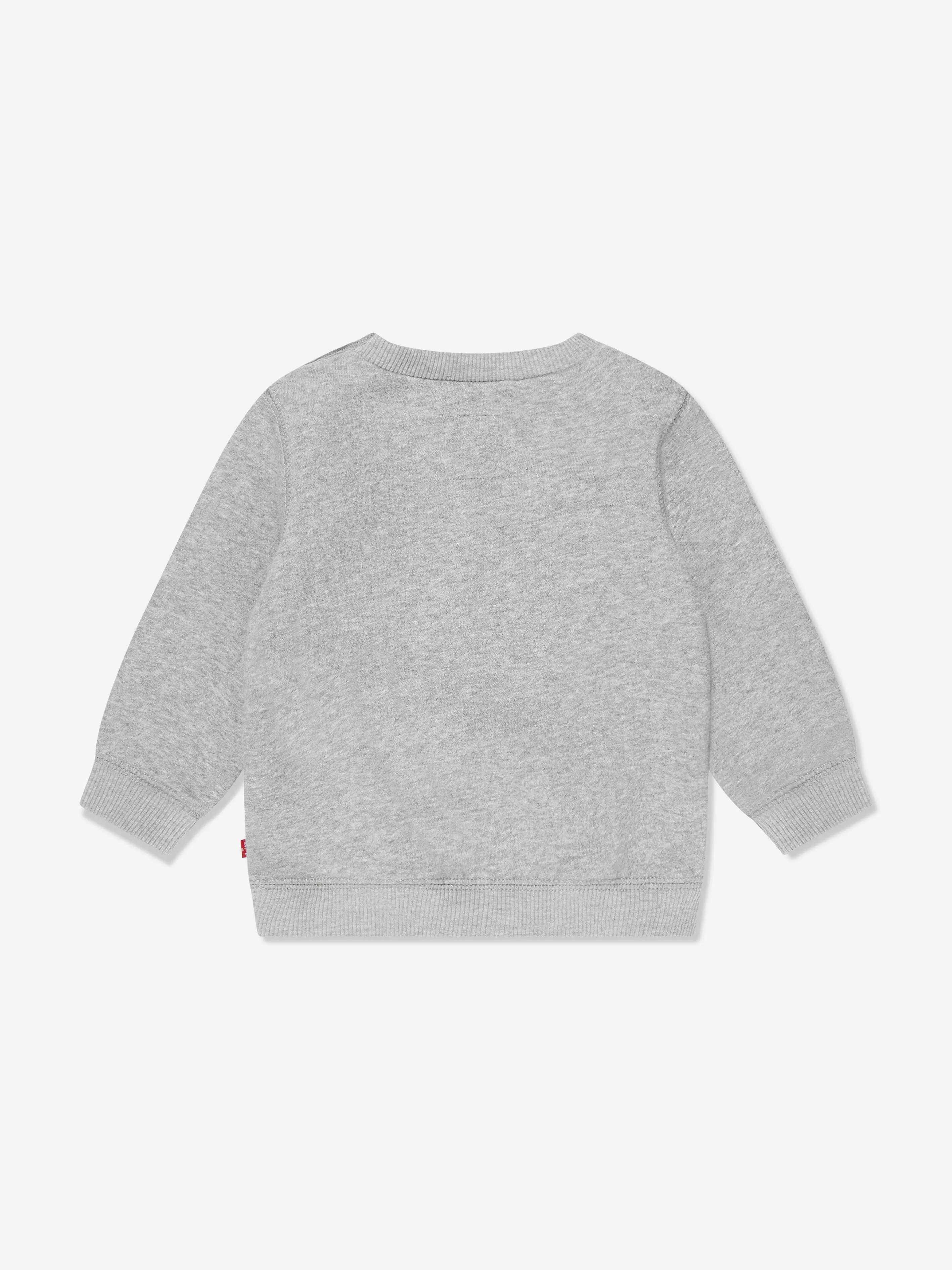 Levi's Baby Boys Batwing Crewneck Sweatshirt in Grey