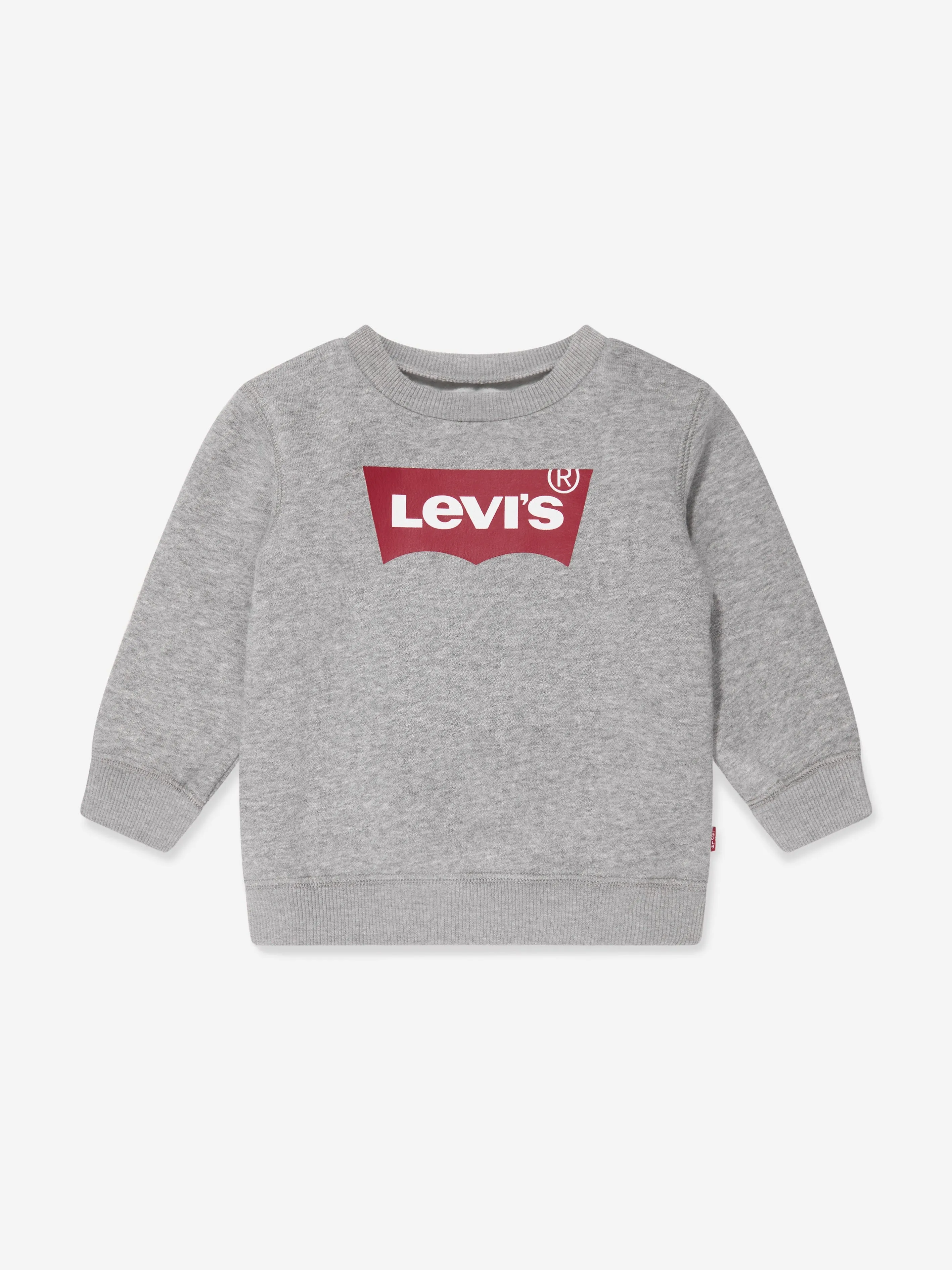 Levi's Baby Boys Batwing Crewneck Sweatshirt in Grey