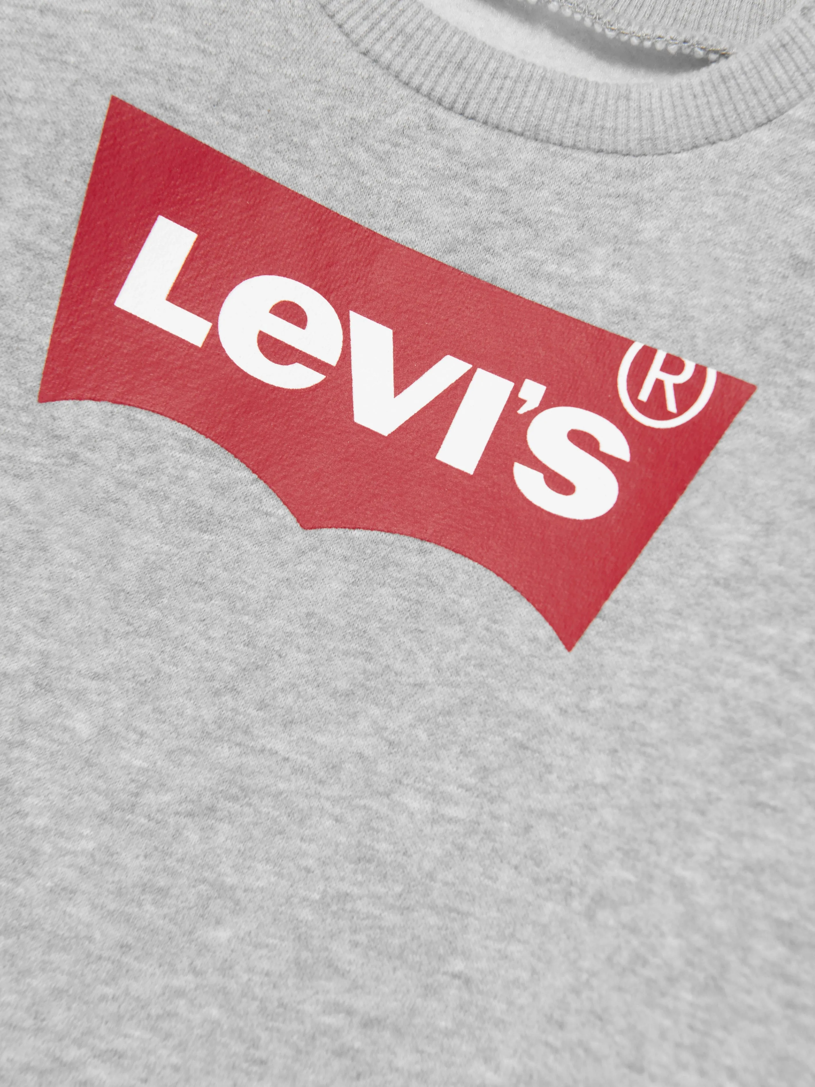 Levi's Baby Boys Batwing Crewneck Sweatshirt in Grey