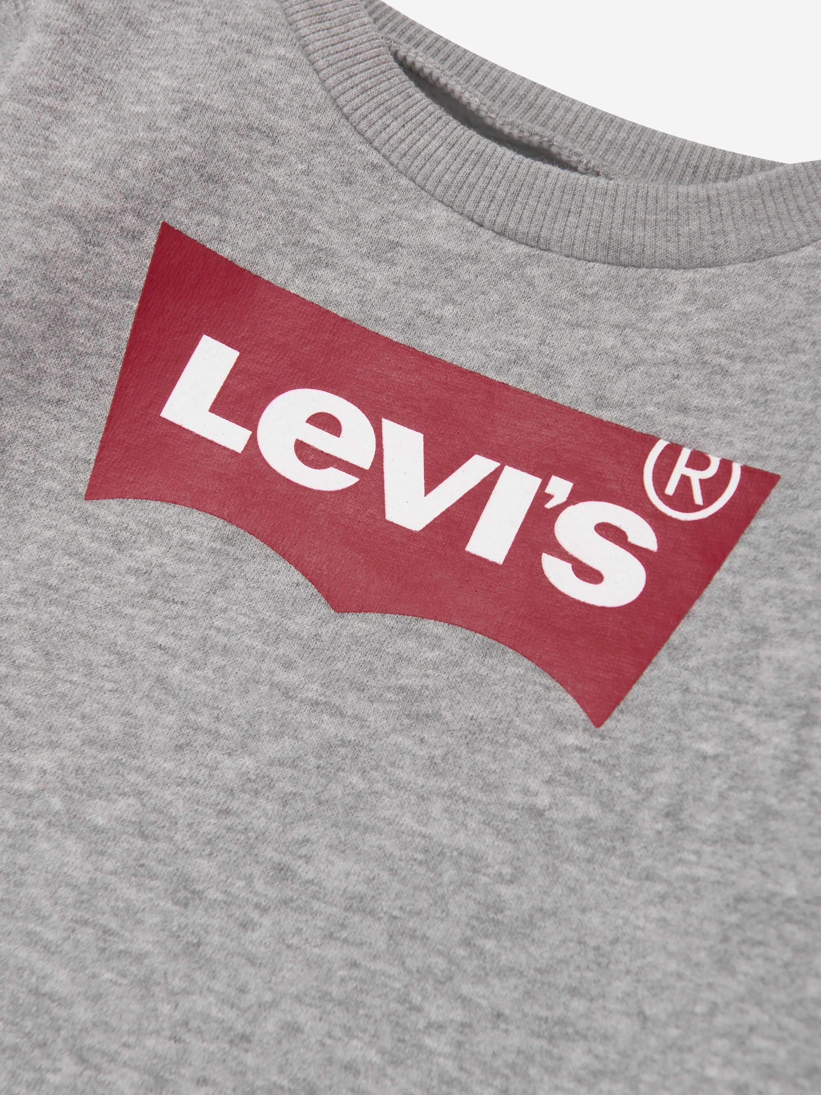 Levi's Baby Boys Batwing Crewneck Sweatshirt in Grey