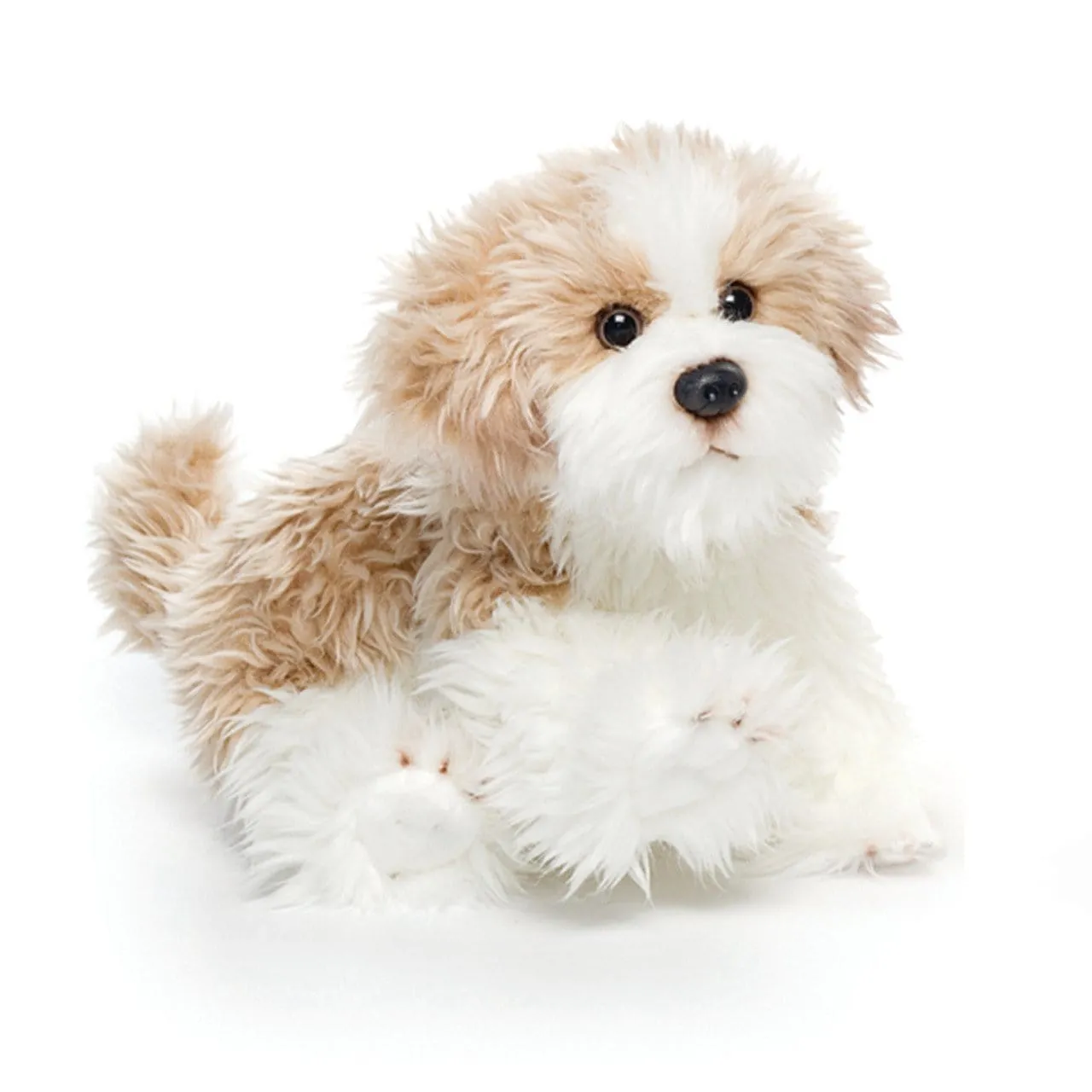 Plush Mixed Breeds: Maltipoo, Terrier Mix, & Labradoodles