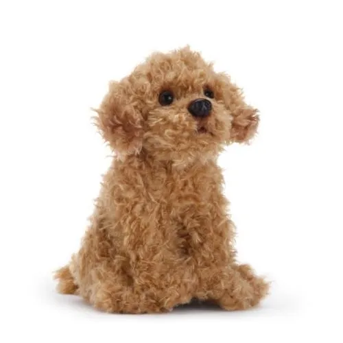 Plush Mixed Breeds: Maltipoo, Terrier Mix, & Labradoodles