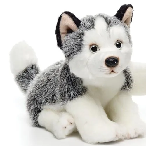 Plush Working Dogs:  Bernese, Dalmatian, Husky, Shiba Inu, Chow, Dobie, Rottie