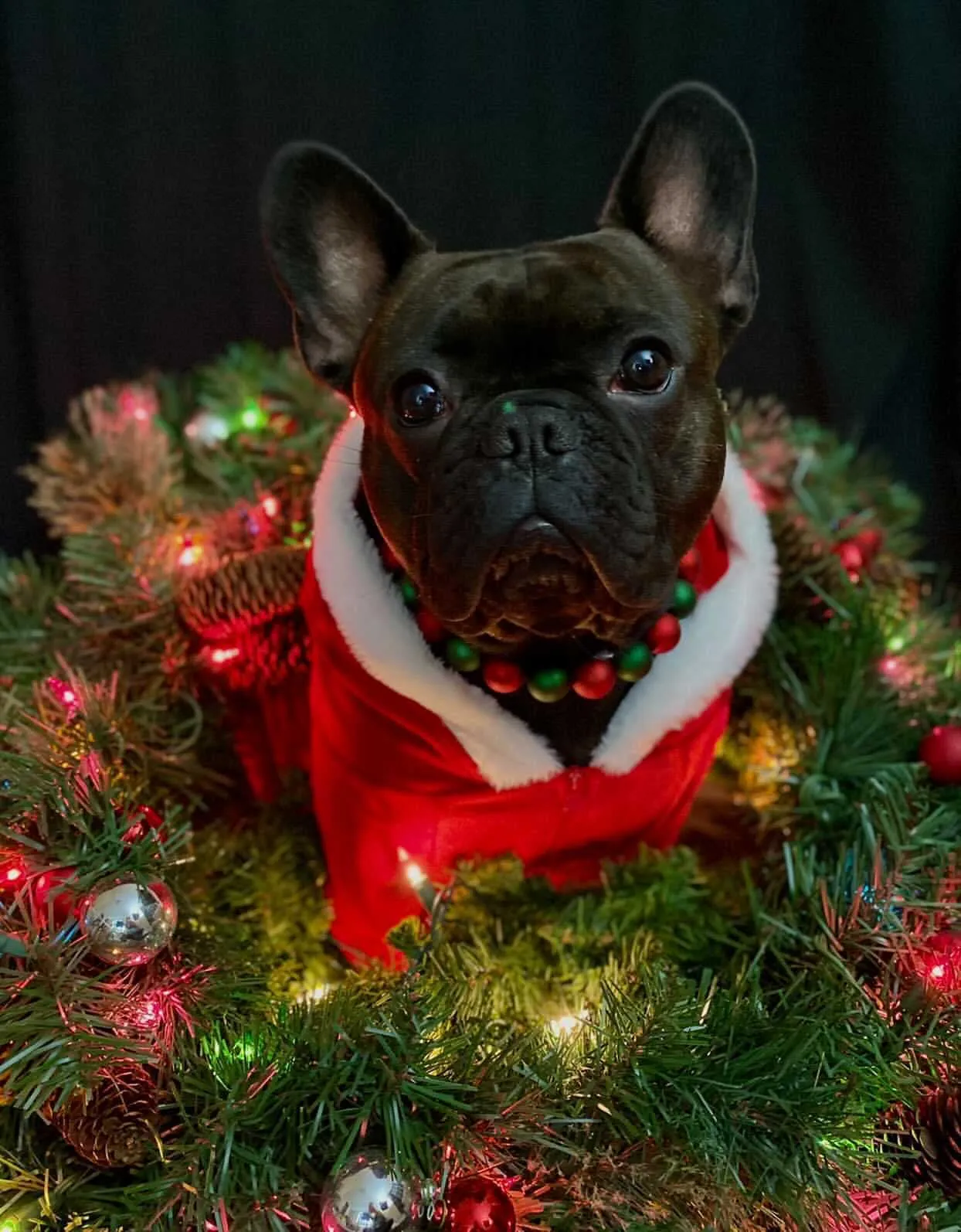 *Sale* Christmas Frost Bead Collar