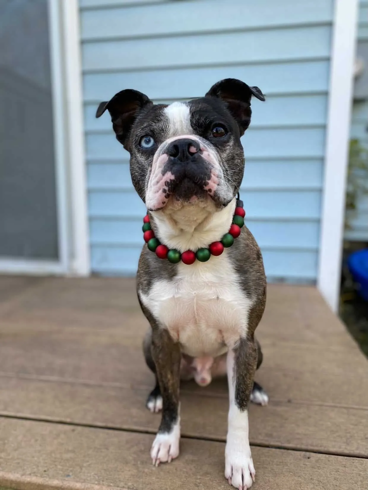 *Sale* Christmas Frost Bead Collar