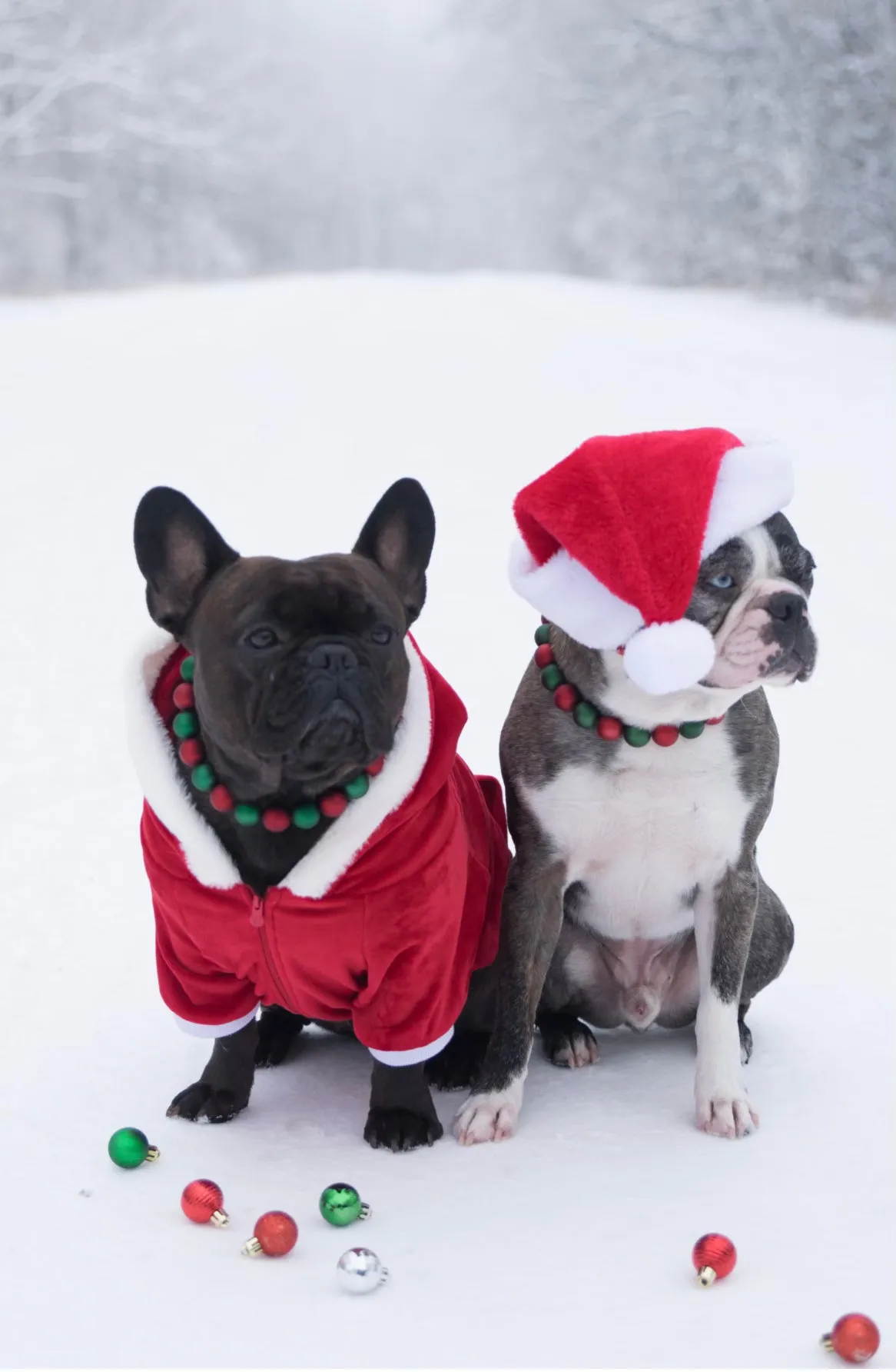 *Sale* Christmas Frost Bead Collar