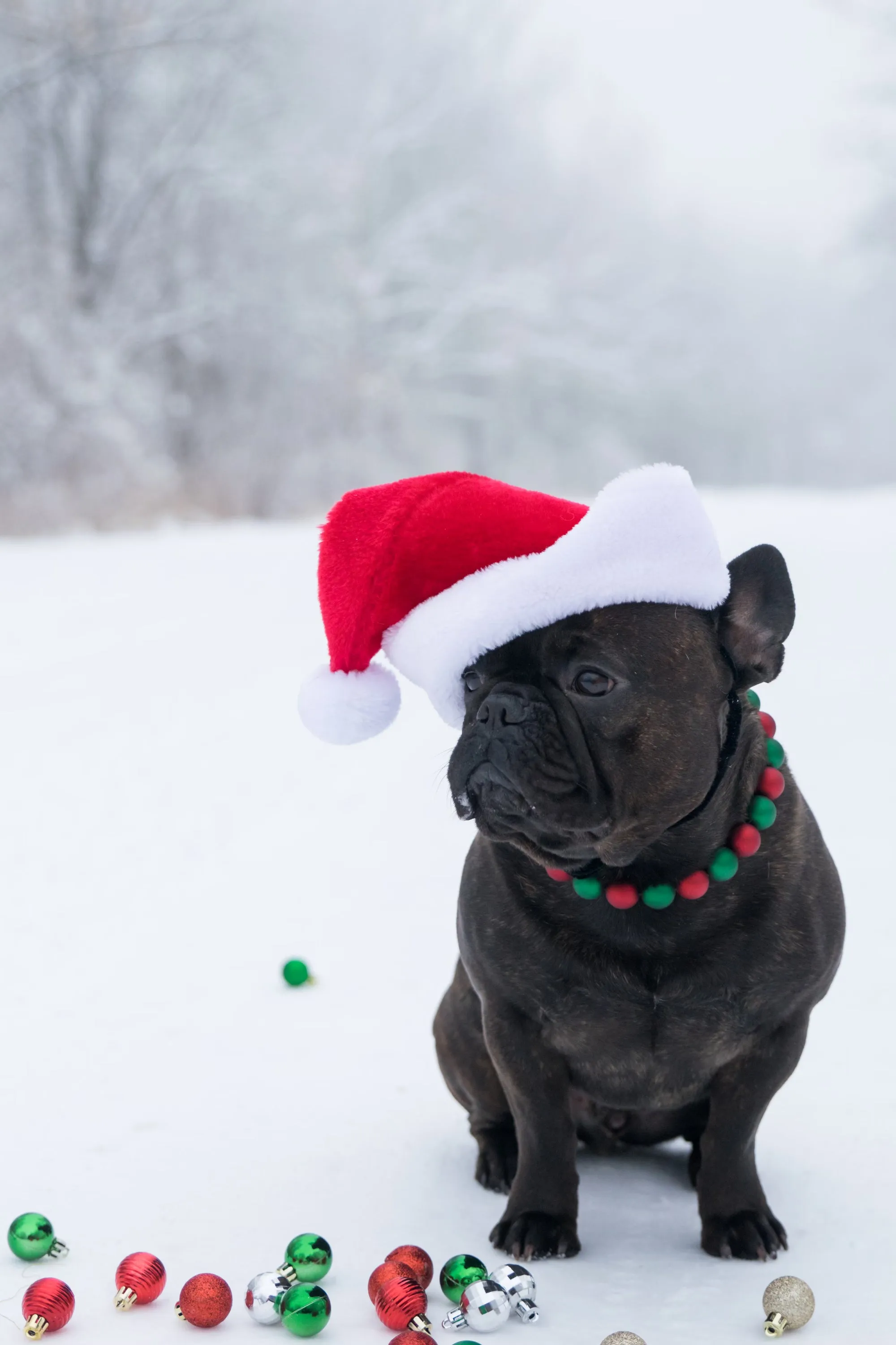 *Sale* Christmas Frost Bead Collar