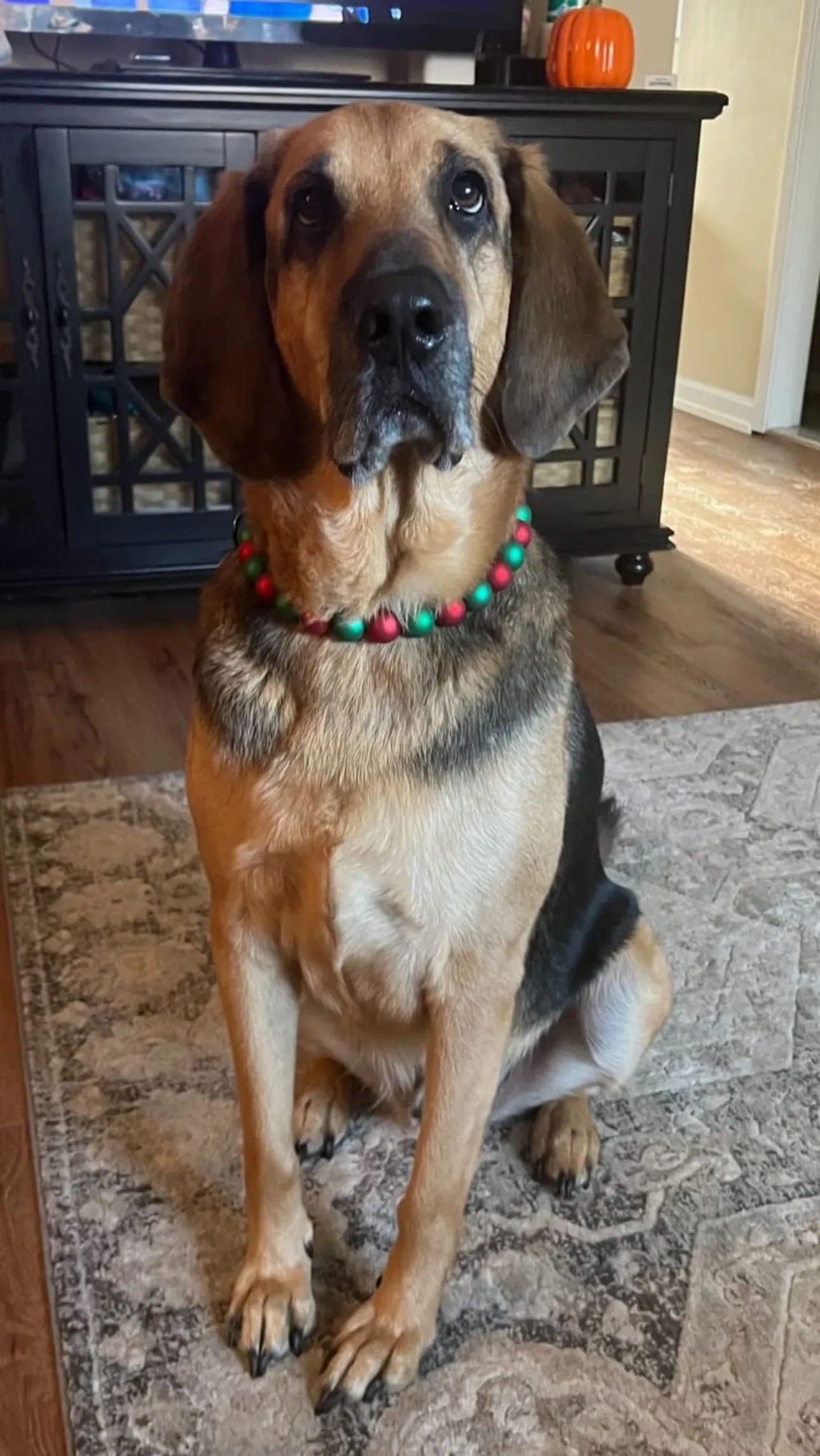 *Sale* Christmas Frost Bead Collar