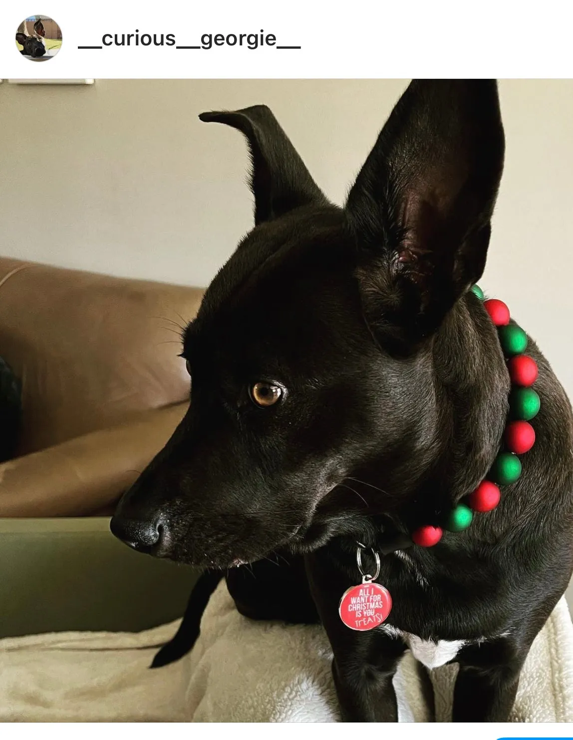 *Sale* Christmas Frost Bead Collar