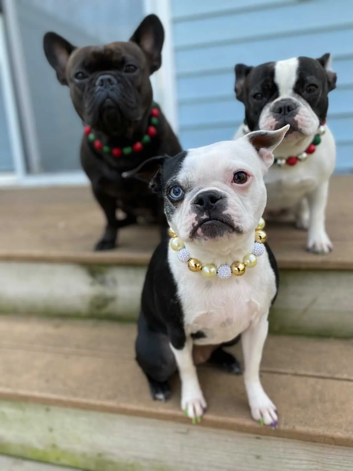 *Sale* Christmas Frost Bead Collar