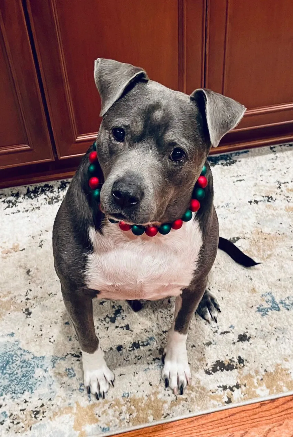 *Sale* Christmas Frost Bead Collar