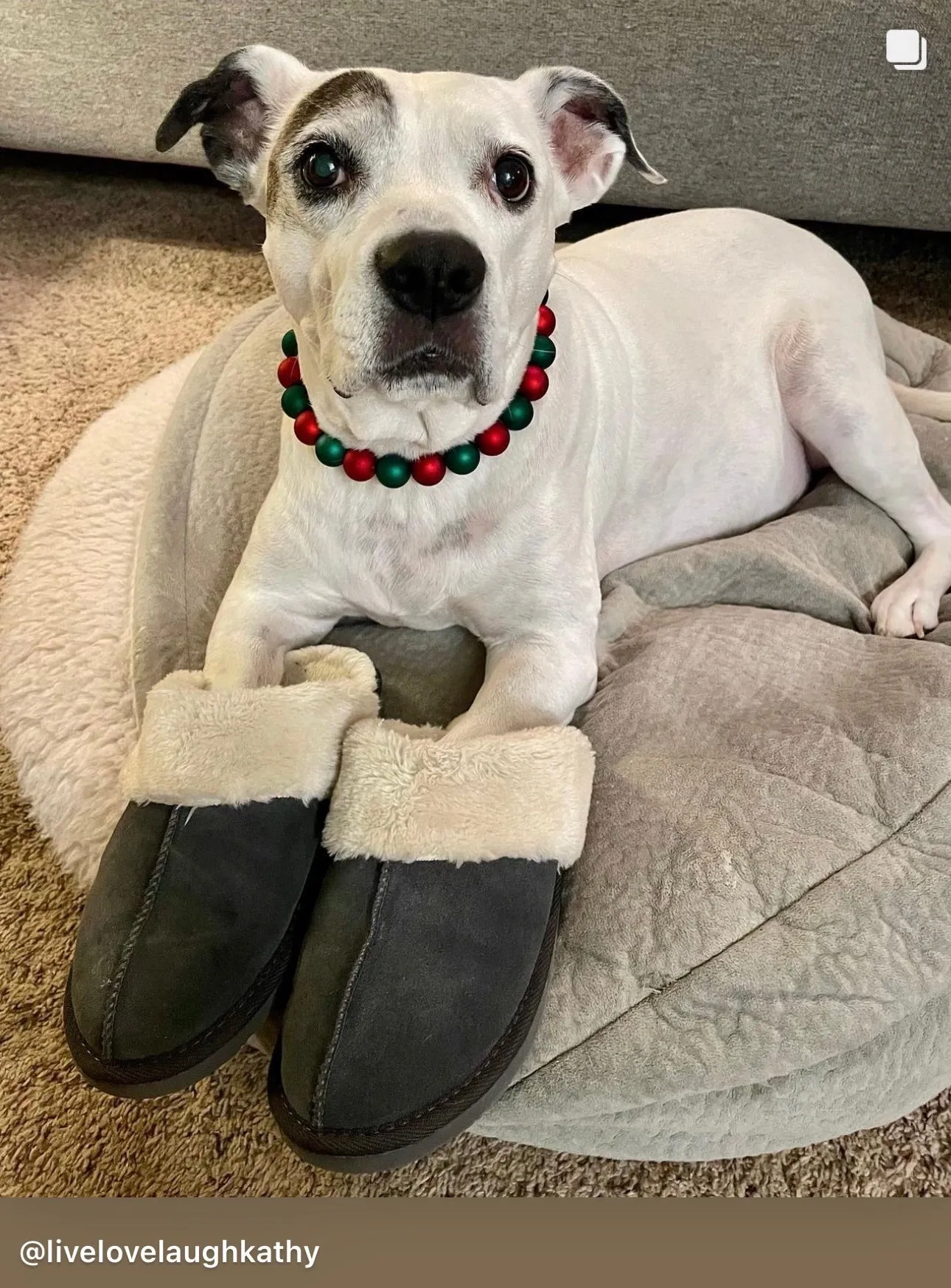 *Sale* Christmas Frost Bead Collar