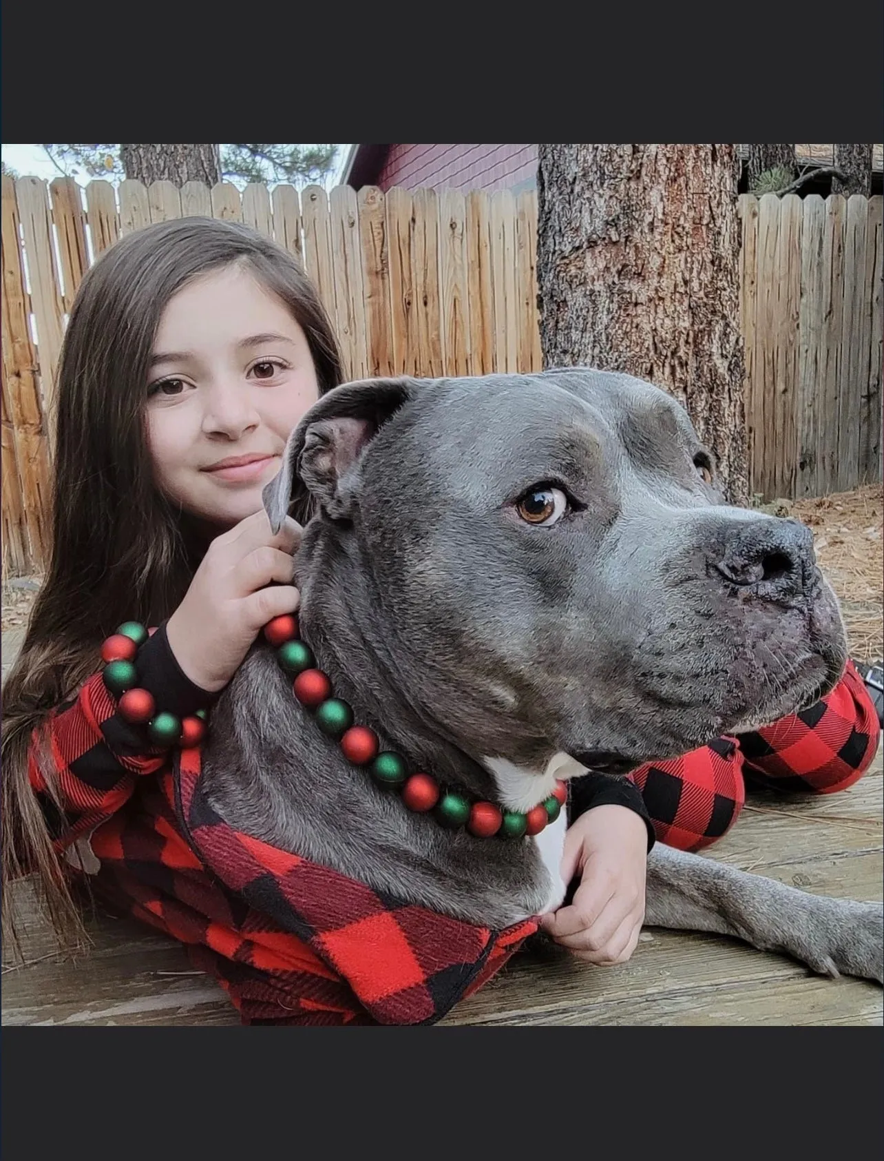 *Sale* Christmas Frost Bead Collar