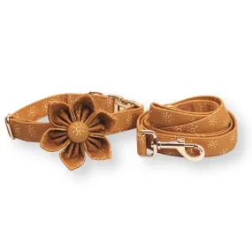 Suns Flower Unbreakable Collar™ & Leash Set